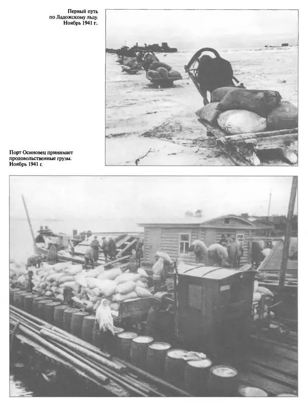 Георгий Куманев - Блокада Ленинграда: 900 героических дней. 1941 — 1944 - Страница № 247