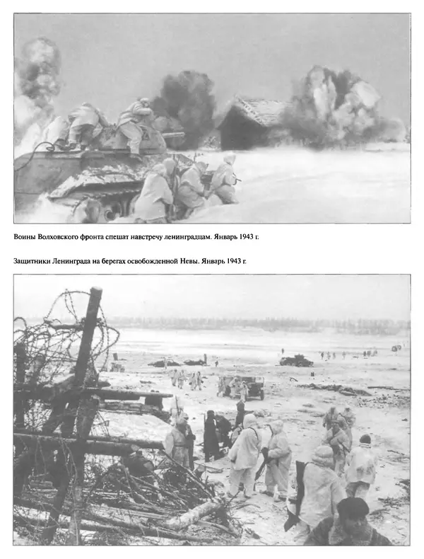 Георгий Куманев - Блокада Ленинграда: 900 героических дней. 1941 — 1944 - Страница № 367