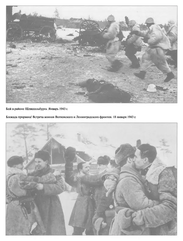 Георгий Куманев - Блокада Ленинграда: 900 героических дней. 1941 — 1944 - Страница № 368