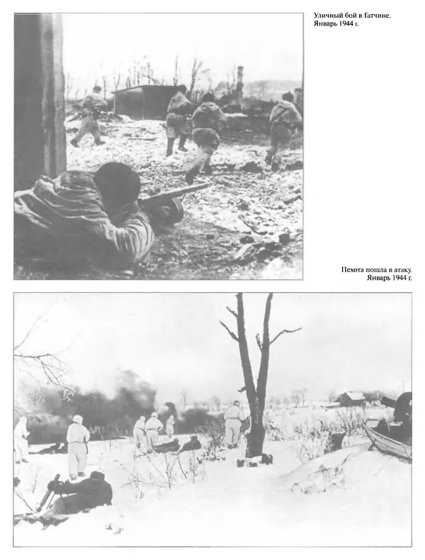 Георгий Куманев - Блокада Ленинграда: 900 героических дней. 1941 — 1944 - Страница № 476