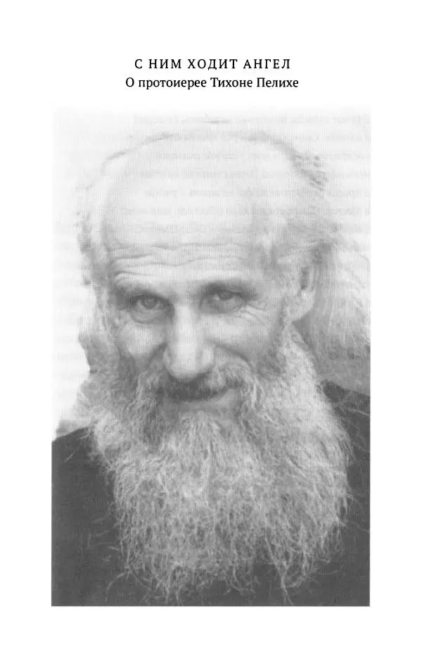 Л. Никифорова - Живое предание XX века. О святых и подвижниках нашего времени - Страница № 82