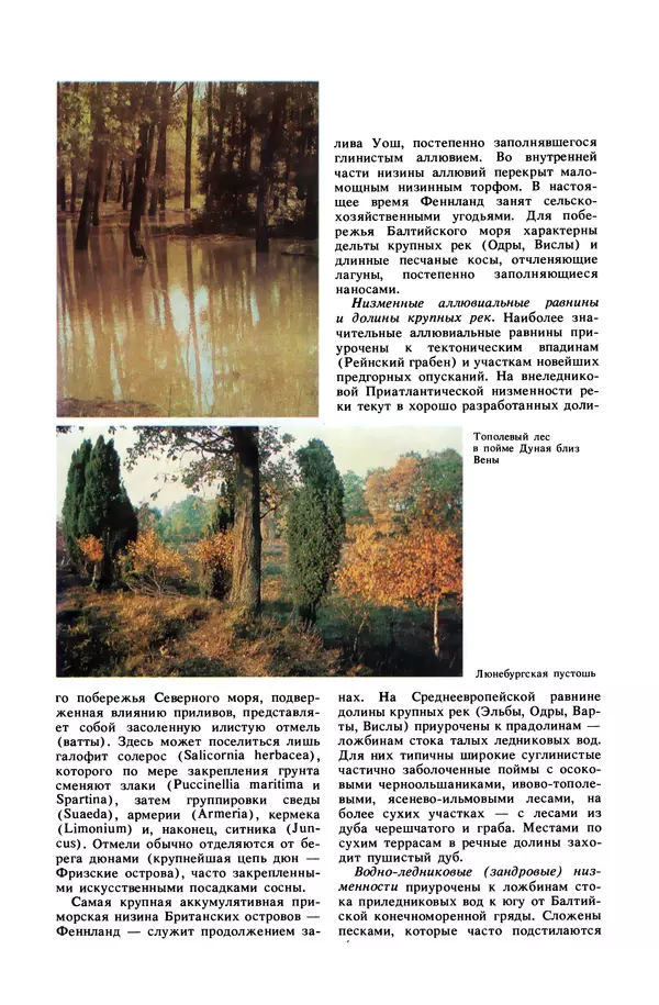 Анатолий Исаченко - Ландшафты - Страница № 106