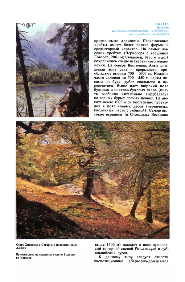 Анатолий Исаченко - Ландшафты - Страница № 115