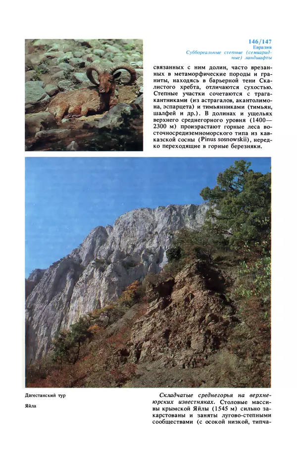 Анатолий Исаченко - Ландшафты - Страница № 147