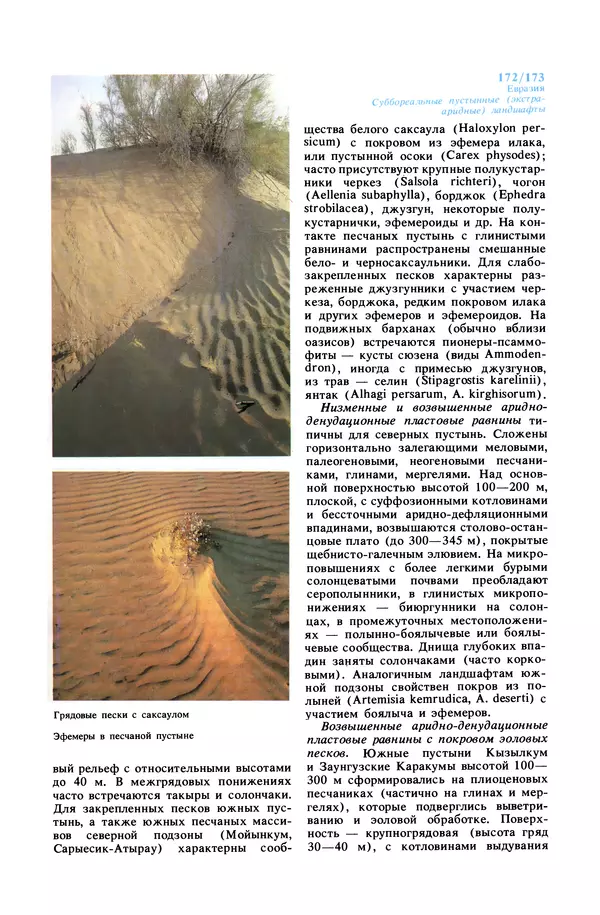 Анатолий Исаченко - Ландшафты - Страница № 173