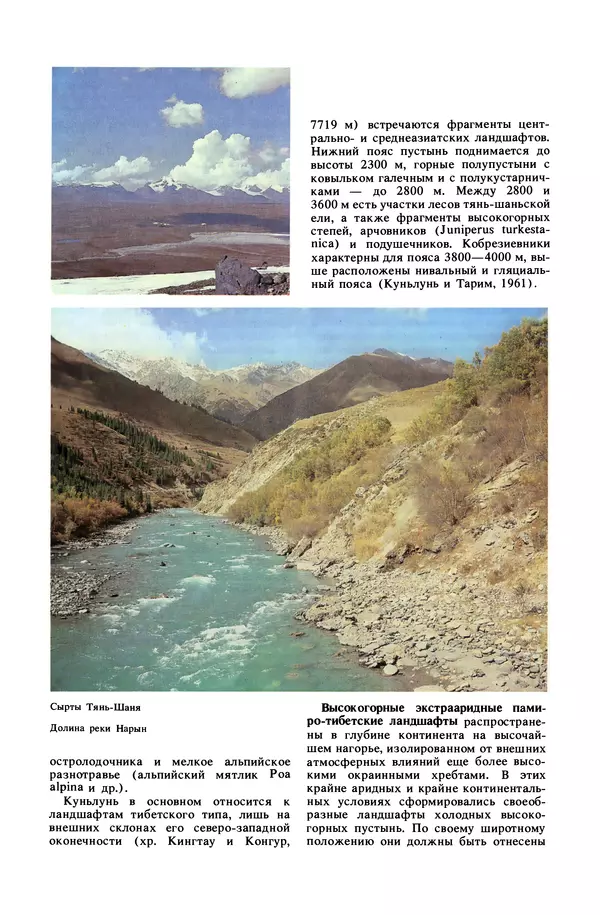 Анатолий Исаченко - Ландшафты - Страница № 186