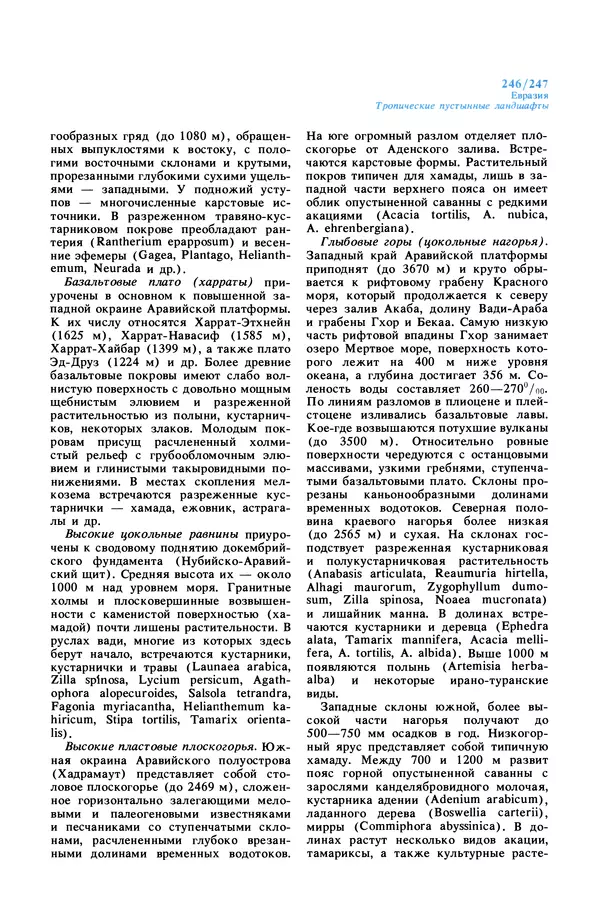 Анатолий Исаченко - Ландшафты - Страница № 247