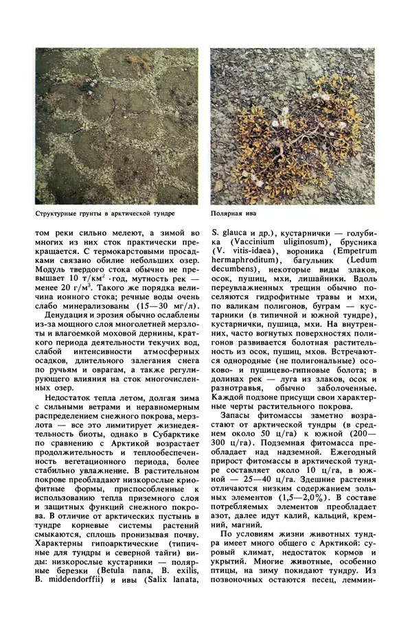 Анатолий Исаченко - Ландшафты - Страница № 29