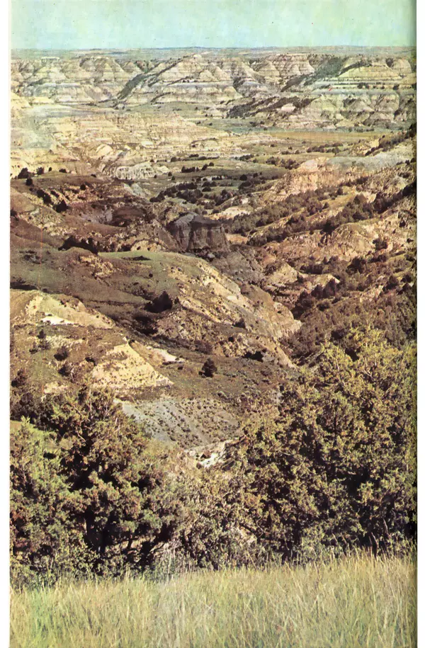 Анатолий Исаченко - Ландшафты - Страница № 338