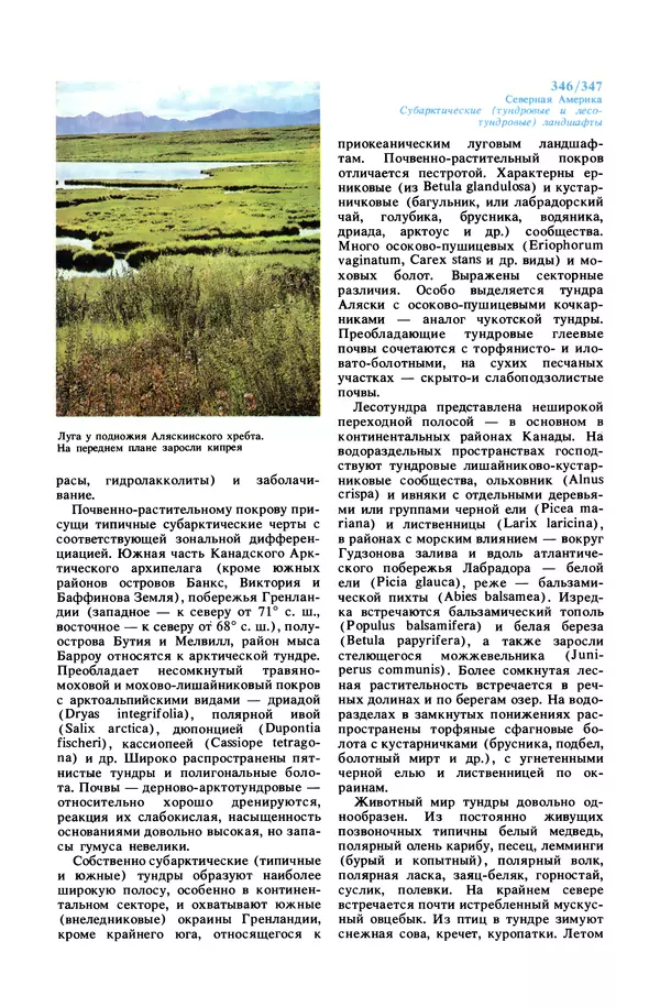 Анатолий Исаченко - Ландшафты - Страница № 347