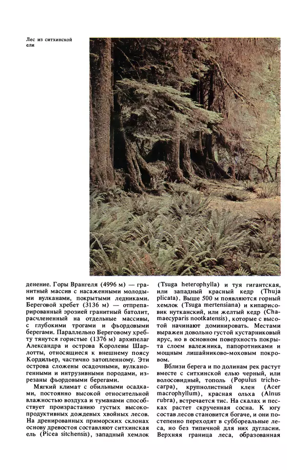 Анатолий Исаченко - Ландшафты - Страница № 355