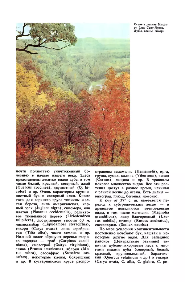 Анатолий Исаченко - Ландшафты - Страница № 362