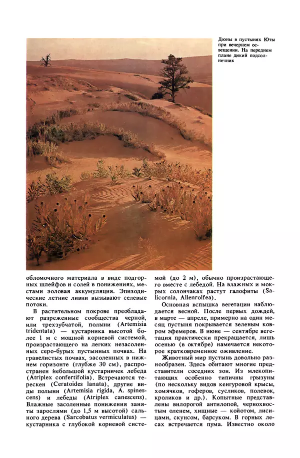 Анатолий Исаченко - Ландшафты - Страница № 374