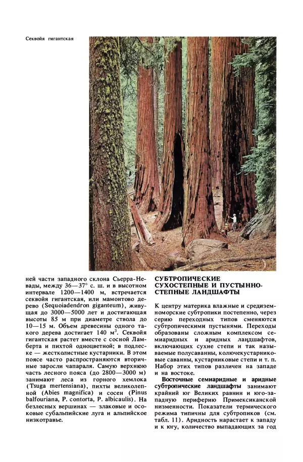 Анатолий Исаченко - Ландшафты - Страница № 383