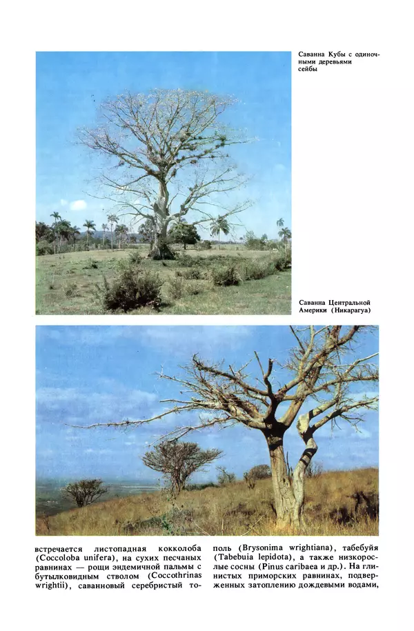 Анатолий Исаченко - Ландшафты - Страница № 392