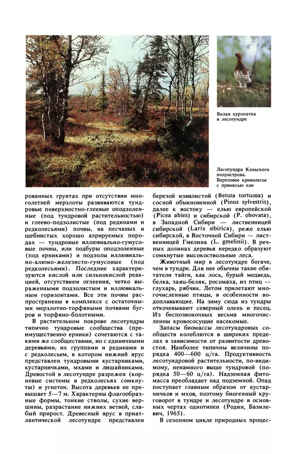 Анатолий Исаченко - Ландшафты - Страница № 42