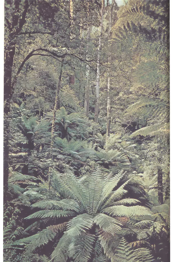 Анатолий Исаченко - Ландшафты - Страница № 450