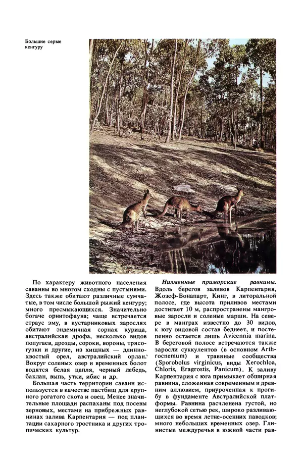 Анатолий Исаченко - Ландшафты - Страница № 477