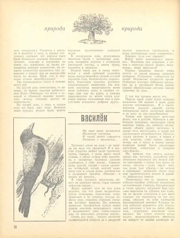  журнал «Семья и школа» - Семья и школа 1970 №07 - Страница № 16