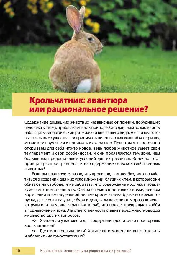 Алиса Штерн-Лес Ландес - Кролики. Справочник-пособие по разведению и выращиванию - Страница № 10