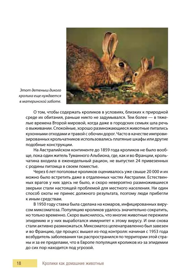 Алиса Штерн-Лес Ландес - Кролики. Справочник-пособие по разведению и выращиванию - Страница № 18