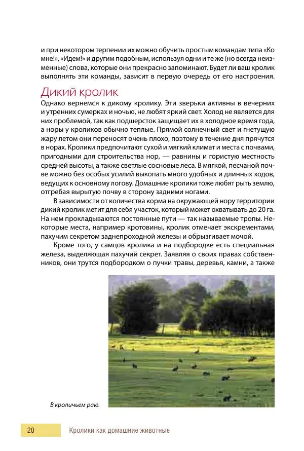 Алиса Штерн-Лес Ландес - Кролики. Справочник-пособие по разведению и выращиванию - Страница № 20