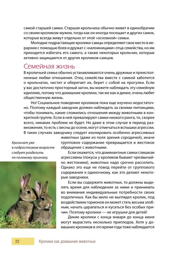 Алиса Штерн-Лес Ландес - Кролики. Справочник-пособие по разведению и выращиванию - Страница № 22