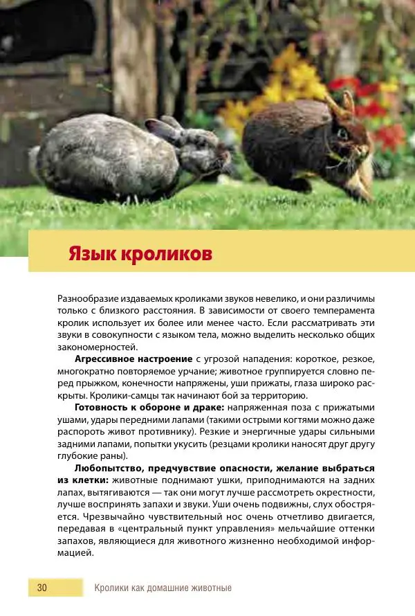 Алиса Штерн-Лес Ландес - Кролики. Справочник-пособие по разведению и выращиванию - Страница № 30