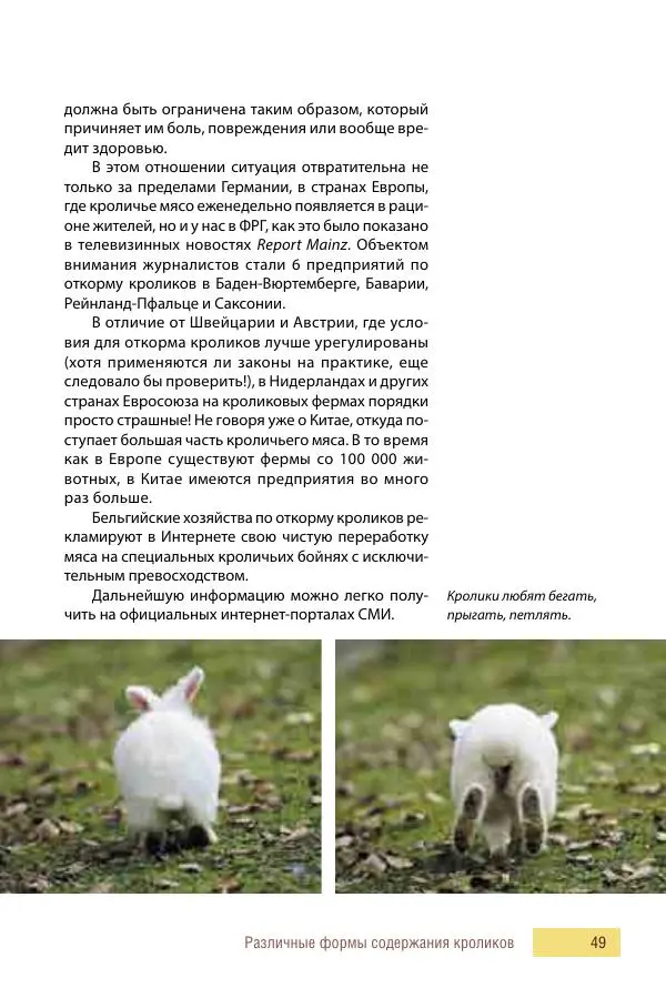 Алиса Штерн-Лес Ландес - Кролики. Справочник-пособие по разведению и выращиванию - Страница № 49