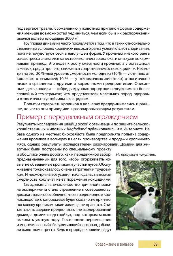 Алиса Штерн-Лес Ландес - Кролики. Справочник-пособие по разведению и выращиванию - Страница № 59
