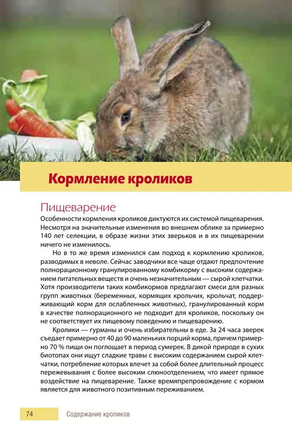 Алиса Штерн-Лес Ландес - Кролики. Справочник-пособие по разведению и выращиванию - Страница № 74