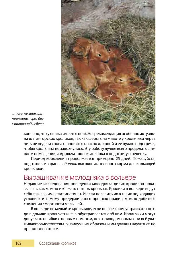 Алиса Штерн-Лес Ландес - Кролики. Справочник-пособие по разведению и выращиванию - Страница № 102