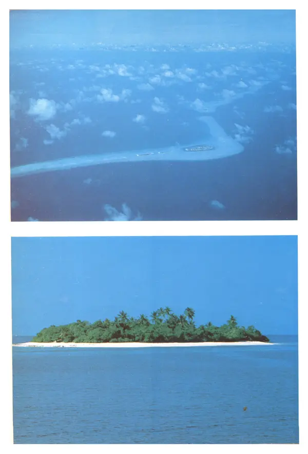 Тур Хейердал - Мальдивская загадка - Страница № 125