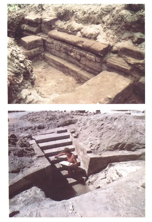 Тур Хейердал - Мальдивская загадка - Страница № 128