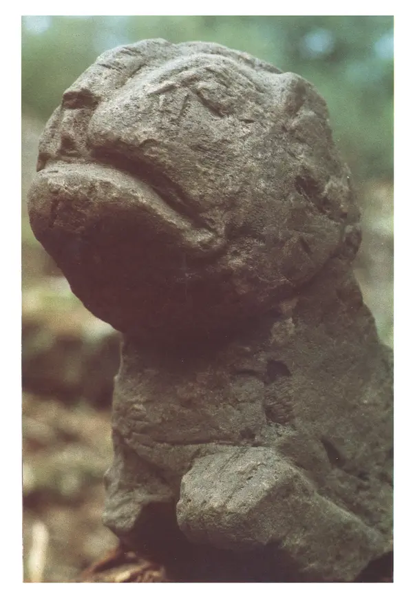 Тур Хейердал - Мальдивская загадка - Страница № 129