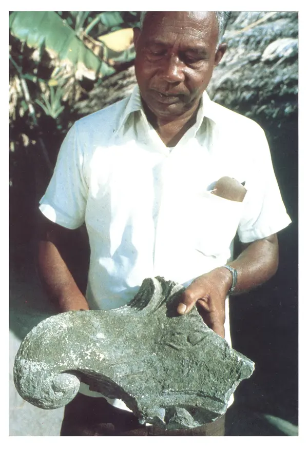 Тур Хейердал - Мальдивская загадка - Страница № 136