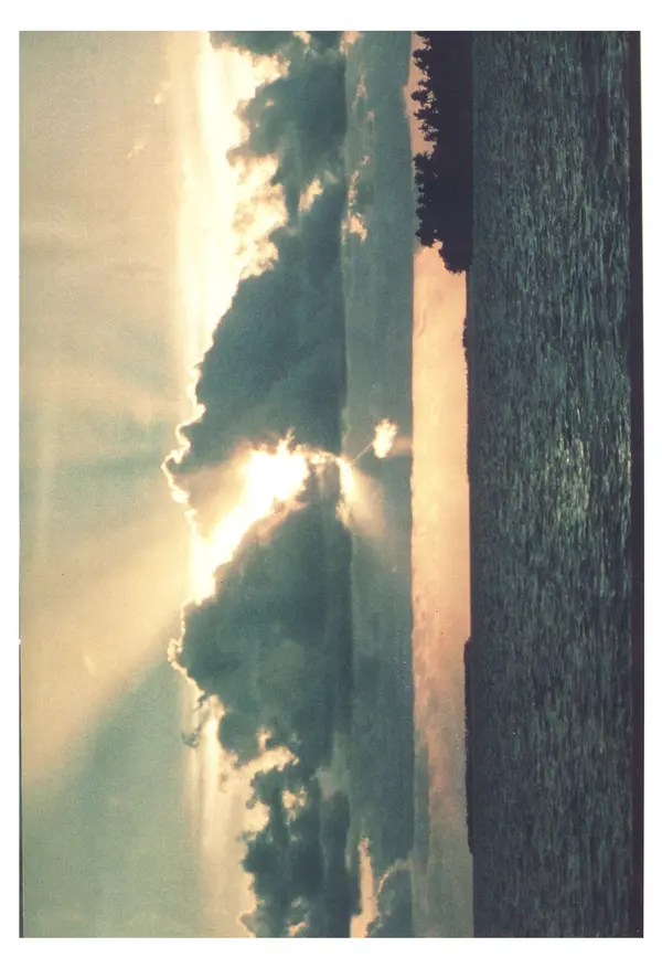 Тур Хейердал - Мальдивская загадка - Страница № 139