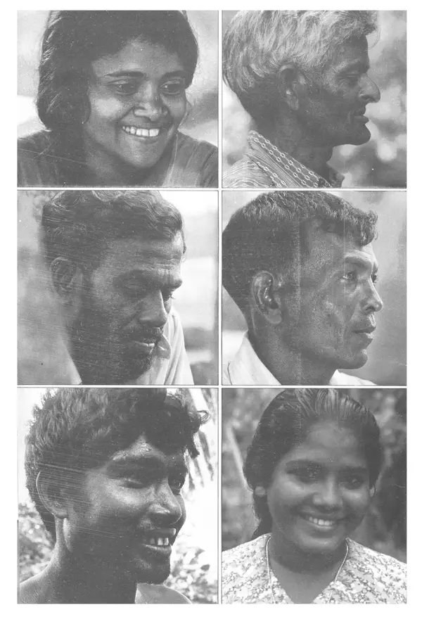 Тур Хейердал - Мальдивская загадка - Страница № 75