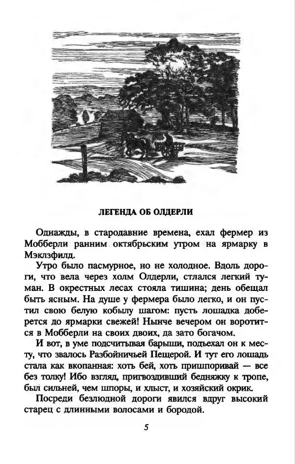 Алан Гарнер - Камень из ожерелья Брисингов - Страница № 8