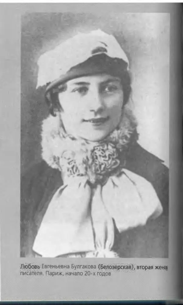 Михаил Булгаков - Булгаков Михаил - Страница № 376