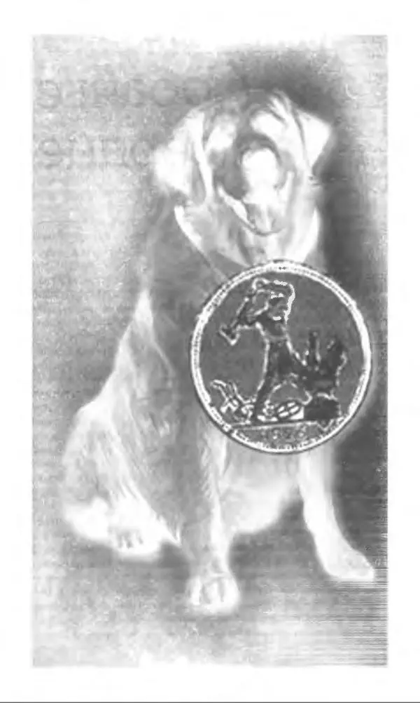 Михаил Булгаков - Булгаков Михаил - Страница № 418