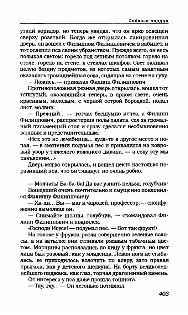 Михаил Булгаков - Булгаков Михаил - Страница № 431