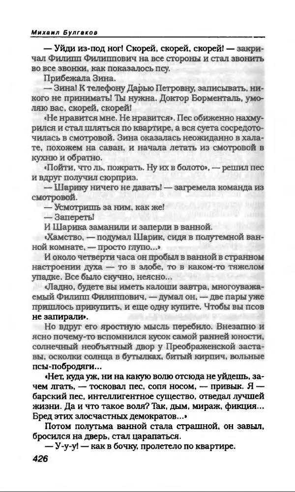 Михаил Булгаков - Булгаков Михаил - Страница № 454