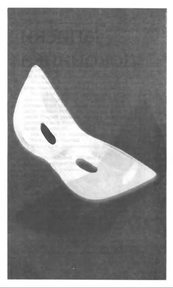 Михаил Булгаков - Булгаков Михаил - Страница № 560