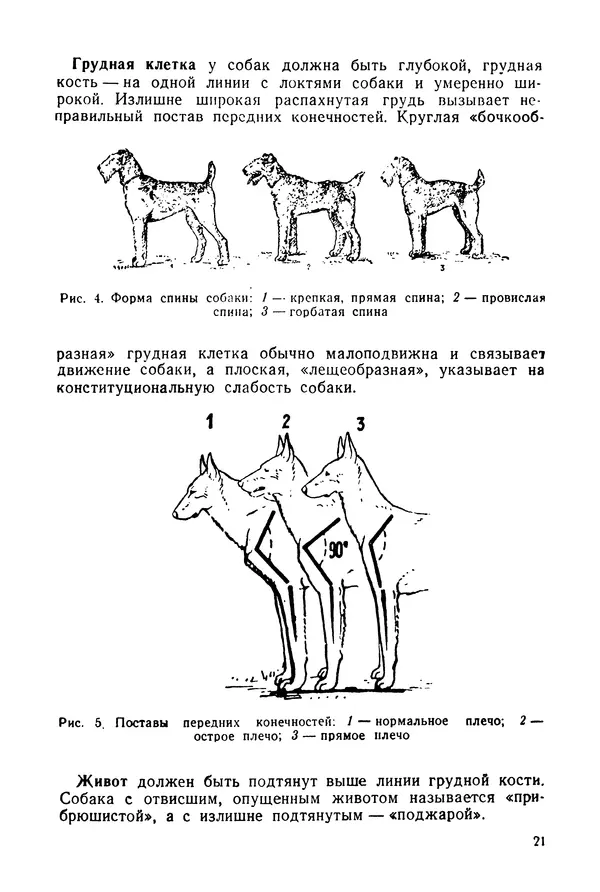 Александр Мазовер - Служебное собаководство - Страница № 22