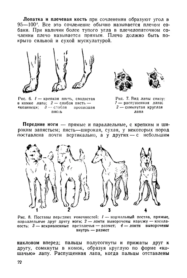Александр Мазовер - Служебное собаководство - Страница № 23