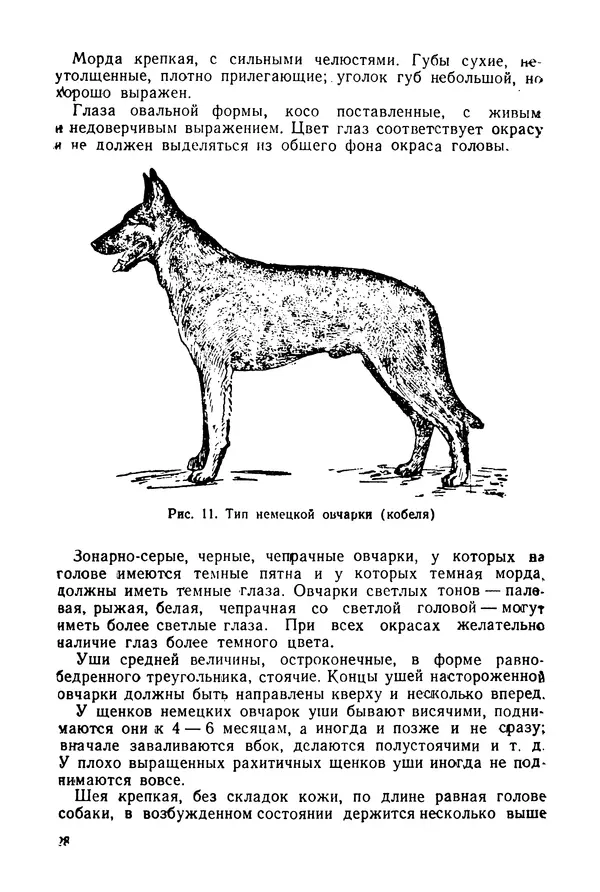Александр Мазовер - Служебное собаководство - Страница № 29
