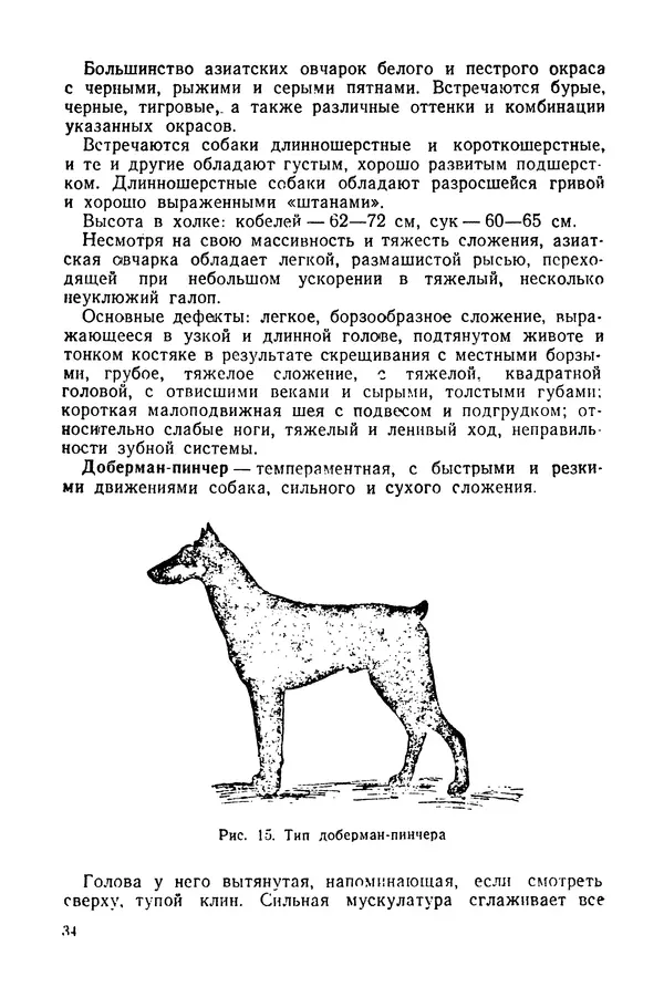 Александр Мазовер - Служебное собаководство - Страница № 35