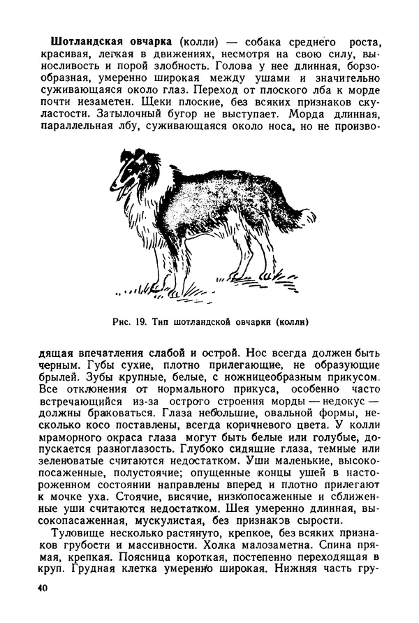 Александр Мазовер - Служебное собаководство - Страница № 41