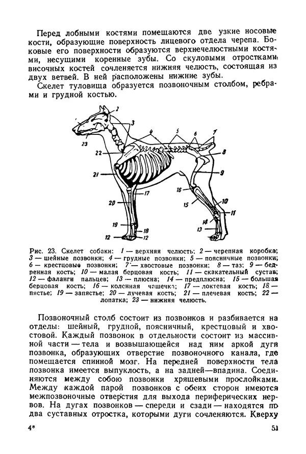 Александр Мазовер - Служебное собаководство - Страница № 52